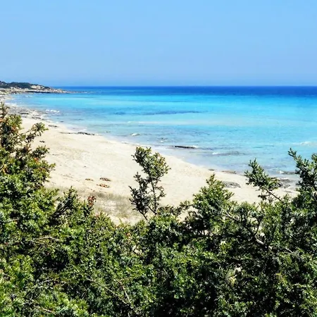 ヴィラ Sole Del Salento A 150m Dal Mare *