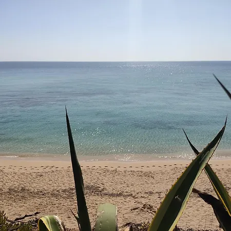 ヴィラ Sole Del Salento A 150m Dal Mare *